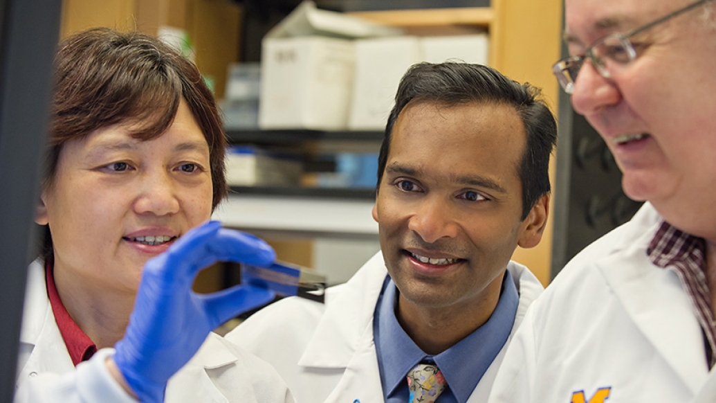 Doctors looking at sample