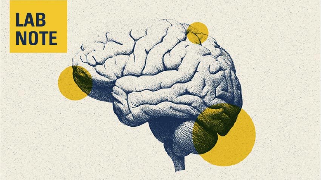 brain image lab note