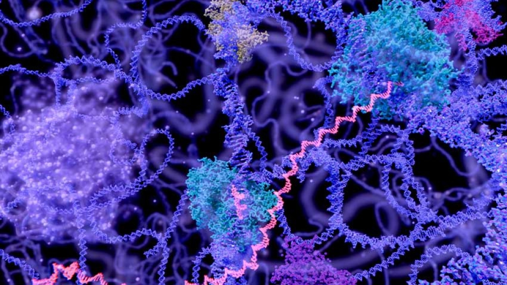 dna illustration in blue purple and pink on black background
