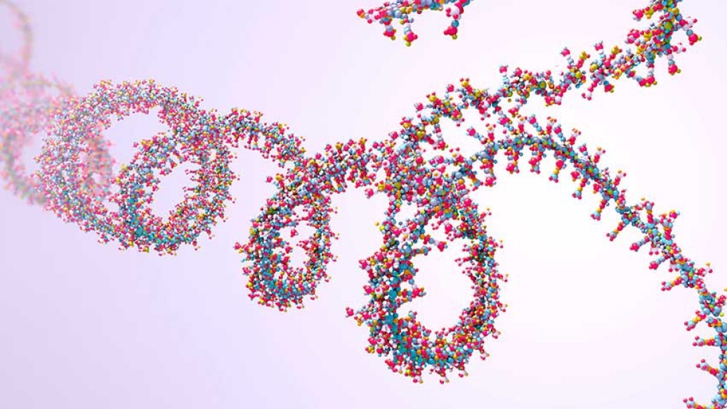 rainbow ribbon like illustration of ribonucleic acid chain
