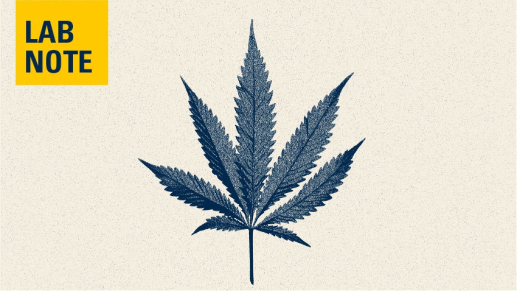 cannabis drawing lab note