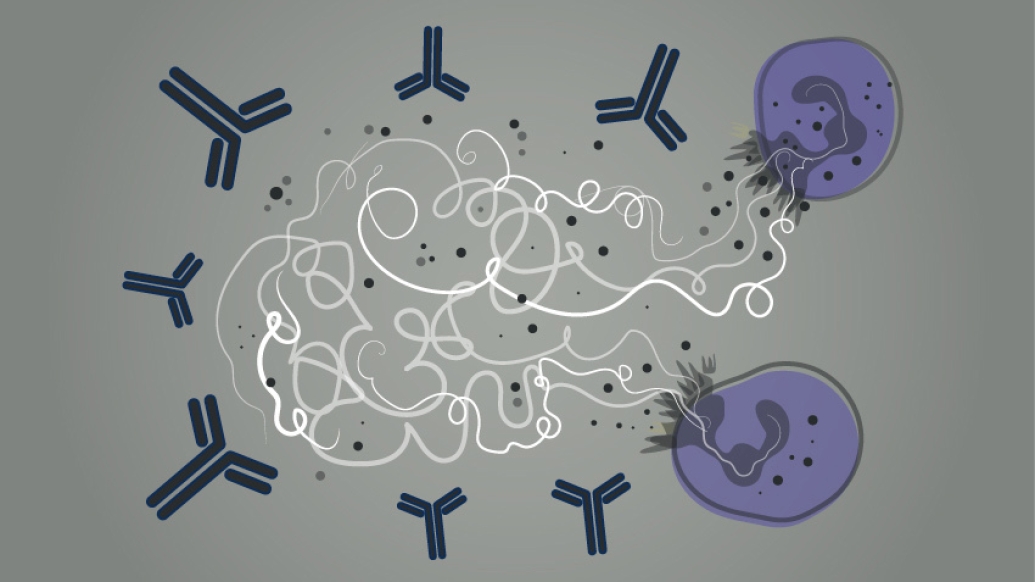 grey background with proteins and blood circulating in nacy and purple with white scribble in middle