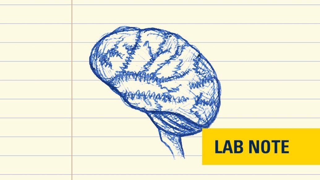 drawing of brain in blue ink with lab note badge in yellow bottom right