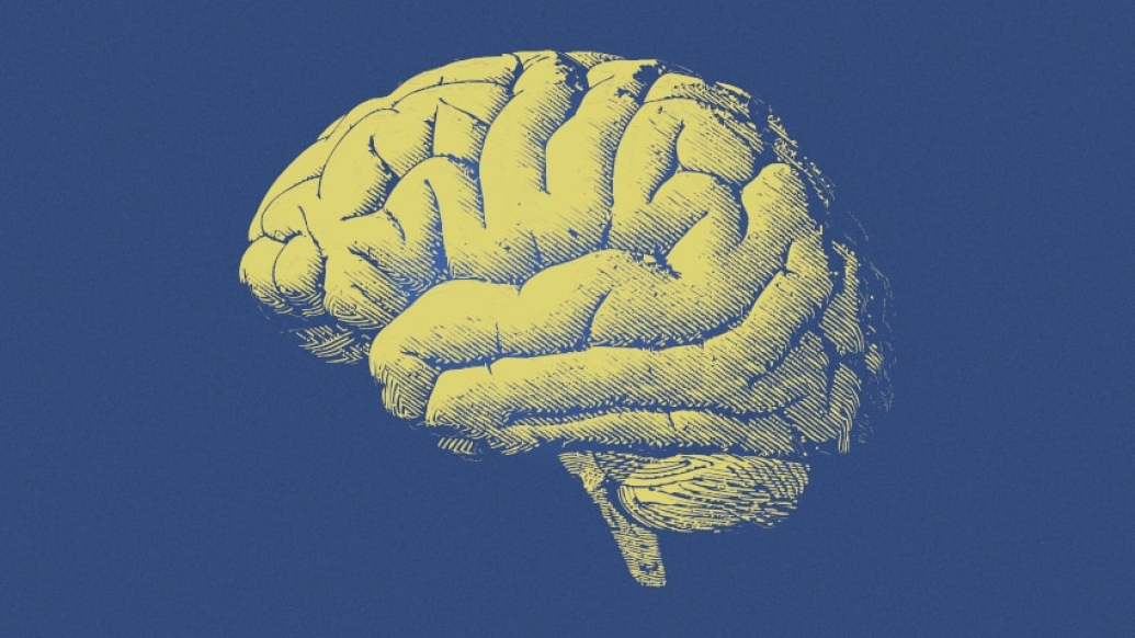 picture of brain on navy background
