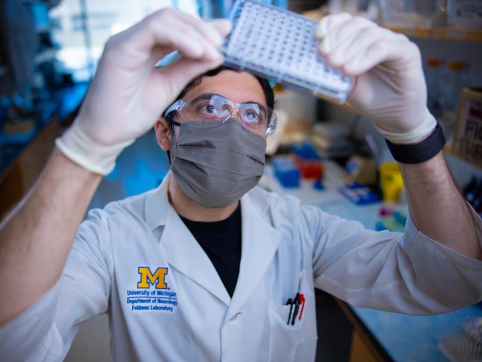Doctor Feldman working in a research lab