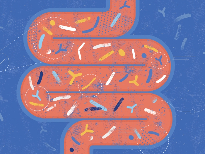 gut intestines graphic picture pink blue 