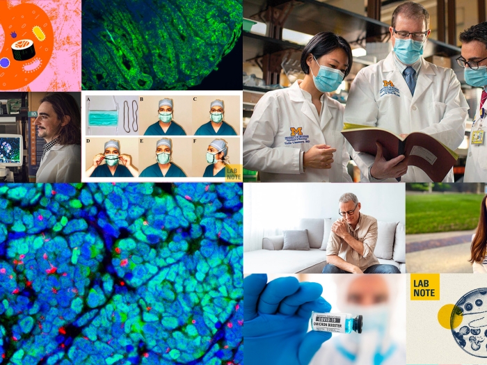 blue cells, gut with sushi, face mask and more in a collage