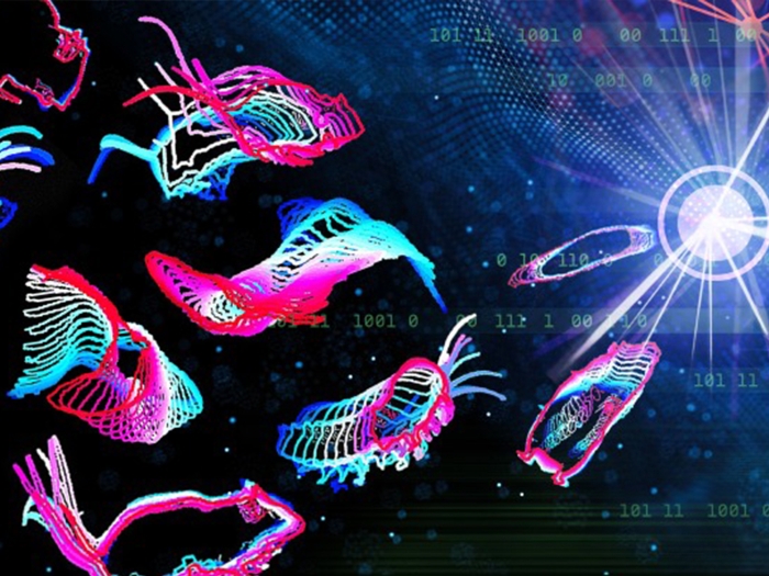 cells in pink and teal 