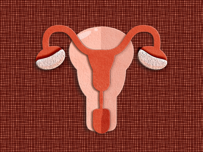 uterus image felt graphic red