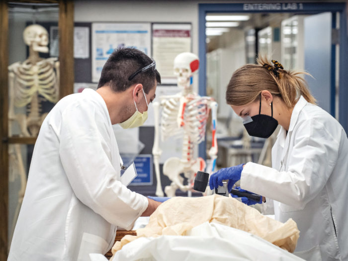 Two medical students wearing masks and gloves inspect an anatomical donor in the anatomy lab. There are educational skeletons in the background.