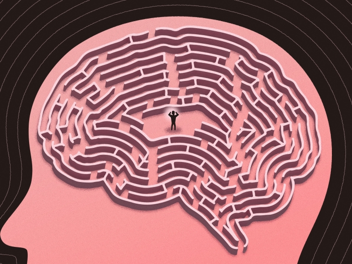 Pink head brain maze