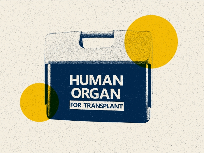 human organ for transplant