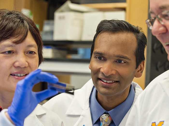 Doctors looking at sample
