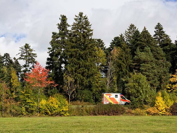 lots of trees and some changing colors with ambulance driving