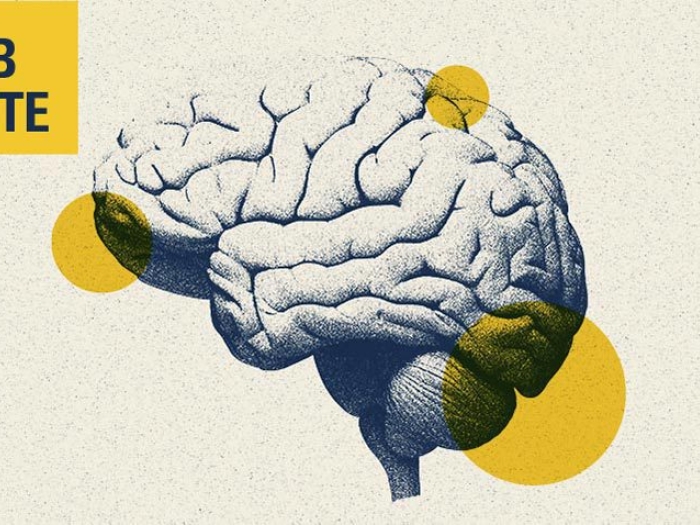 brain image lab note