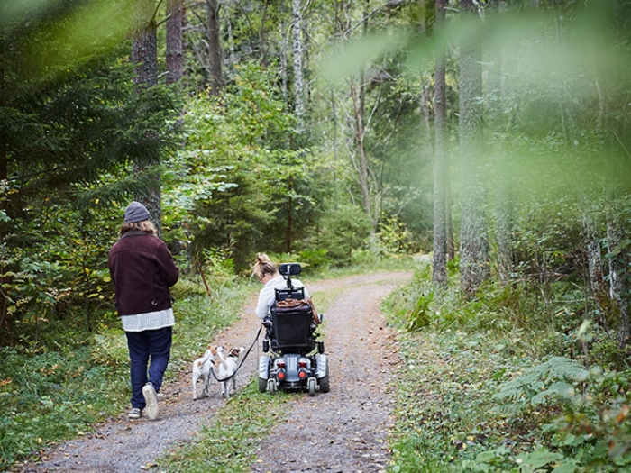 Woman, girl in a wheelchair with two white and brown dogs on a narrow wooded road