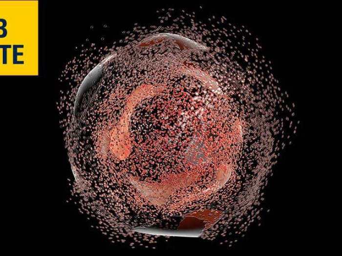 cell in red with black background with lab note written