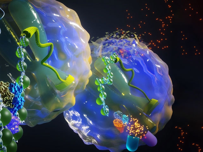 cells under microscope #D render particles