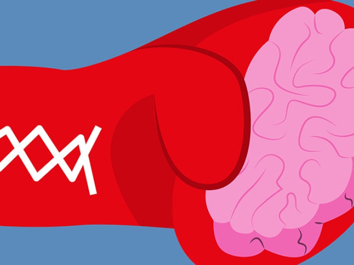 Reb boxing glove holding a pink brain