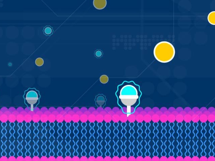 graphic of treatments for COVID