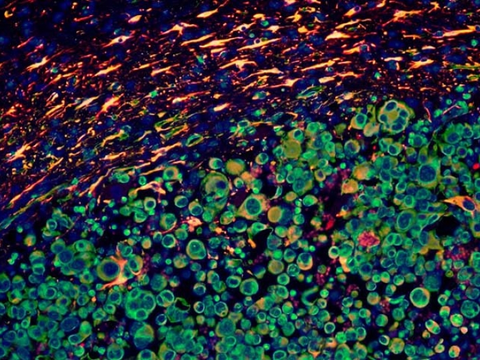 red green blue lab image on black background