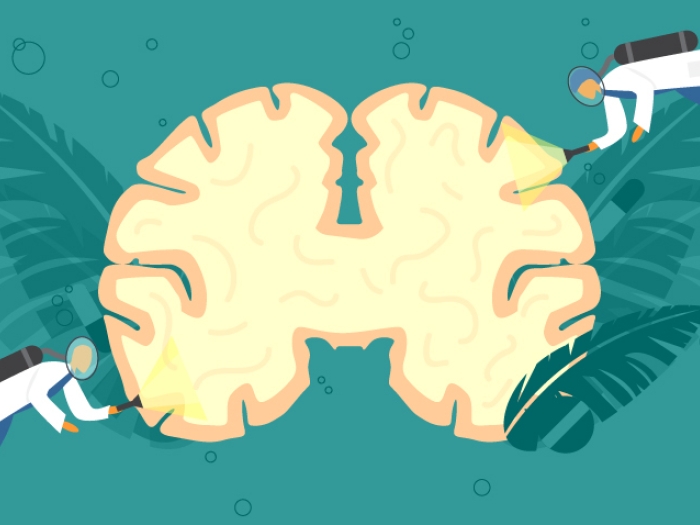 Researchers addressing treatment before Alzheimer’s disease strikes