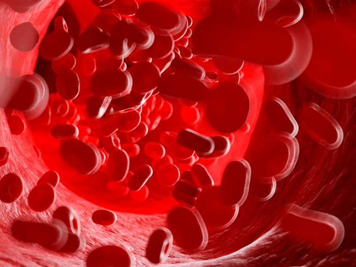 Red blood cells