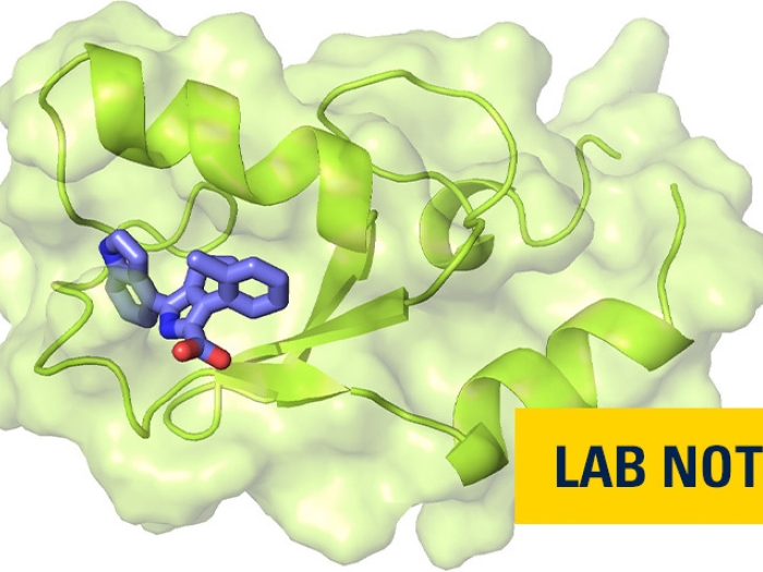 lime green structure with purple in left middle and lab note badge in navy and yellow in bottom right