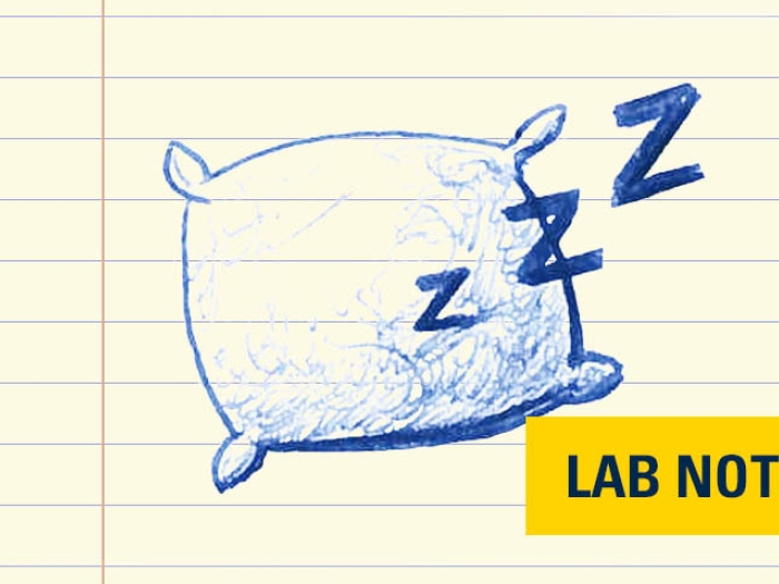 pillow drawn in blue ink on lined paper with yellow and navy font badge saying "lab note" on bottom right