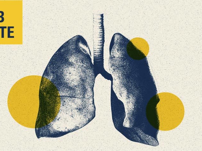 lungs drawing yellow blue lab note