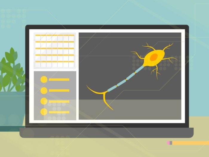 Laptop showing toolkit on screen.