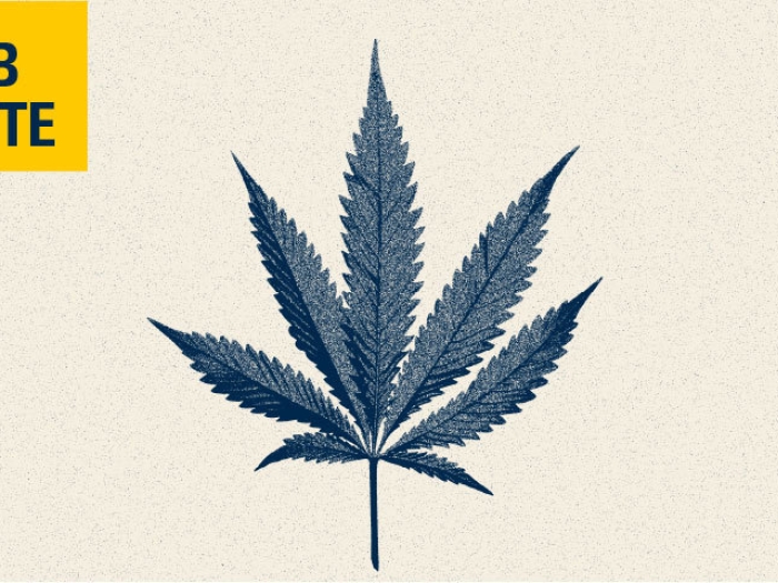 cannabis leaf lab note logo yellow blue