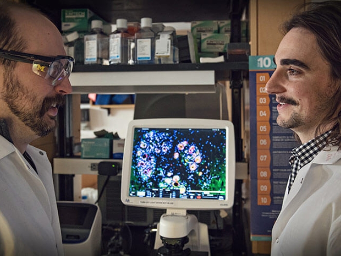 Men scientists facing each other in front of lab screen