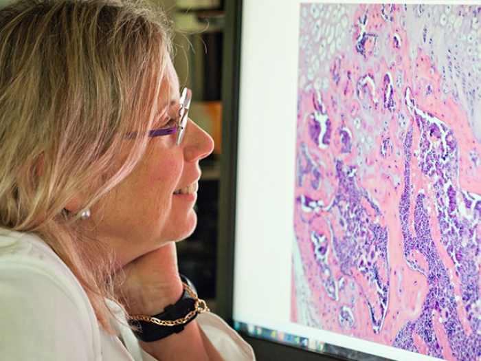 Doctor looking at screen