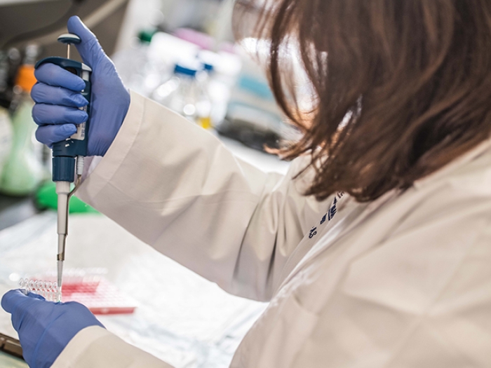 Close up of scientist using blue syringe with gloves for experiment.