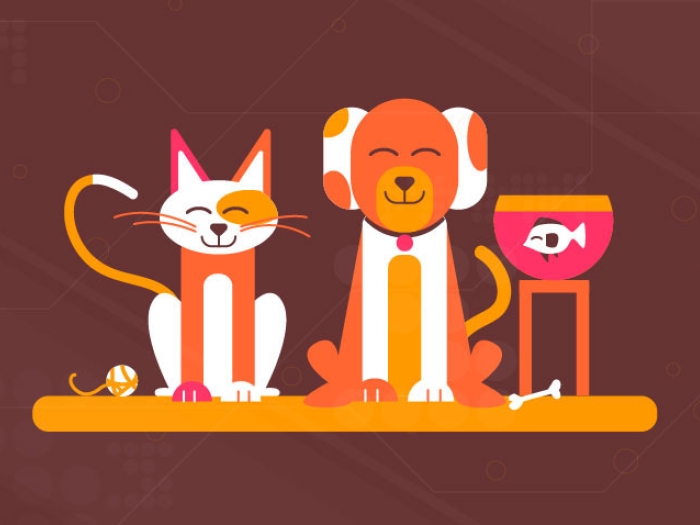 Pets sitting with toy and fish bowl