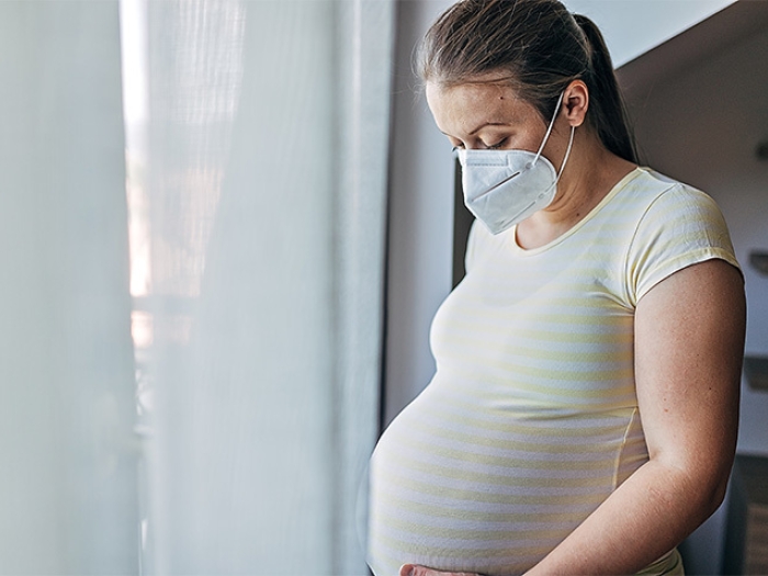 pregnant mother wearing a mask indoors looking at her belly 