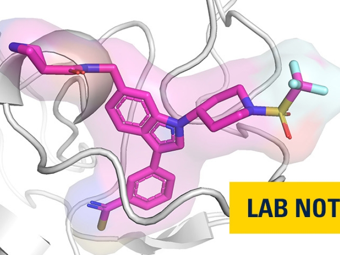 protein in pink and blue an light grey with lab note badge spelled out on bottom right in yellow background and navy font