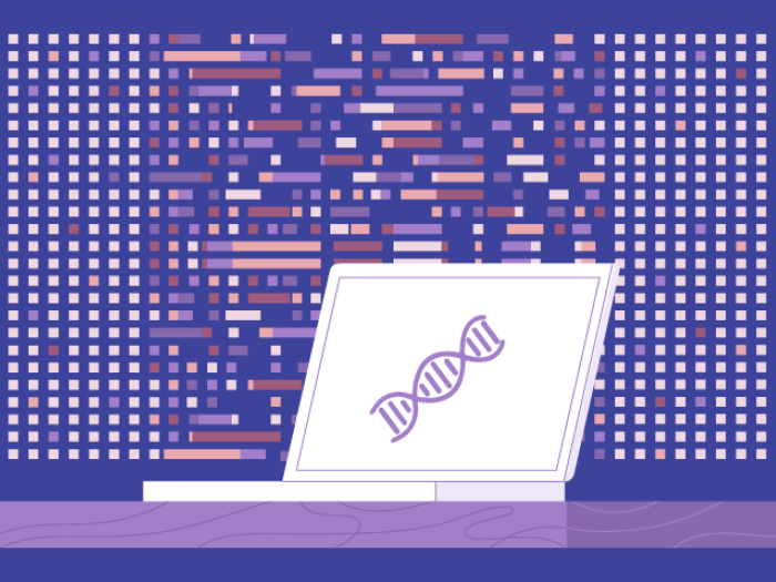 Purple Colored Data With Laptop