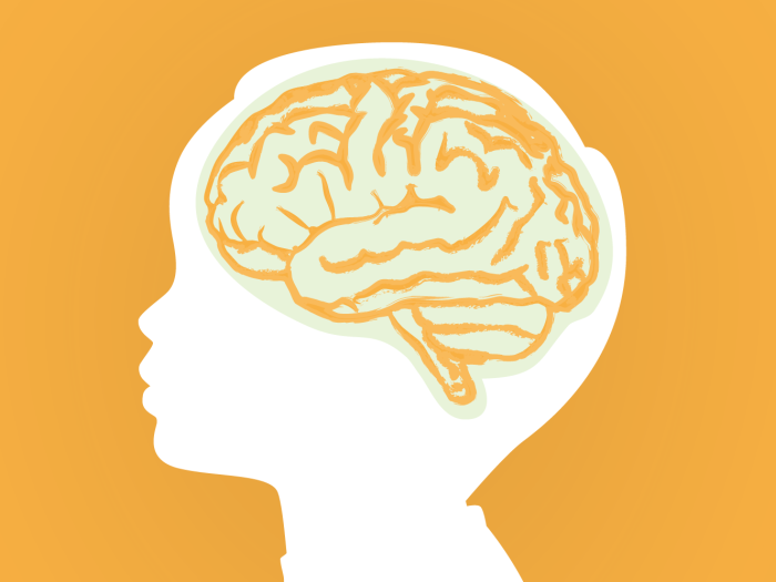 Silhouette of a child's head and brain