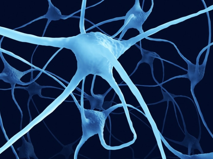 Visualization of diabetic neuropathy