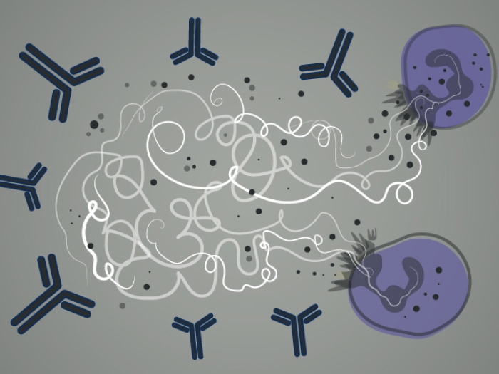 grey background with proteins and blood circulating in nacy and purple with white scribble in middle