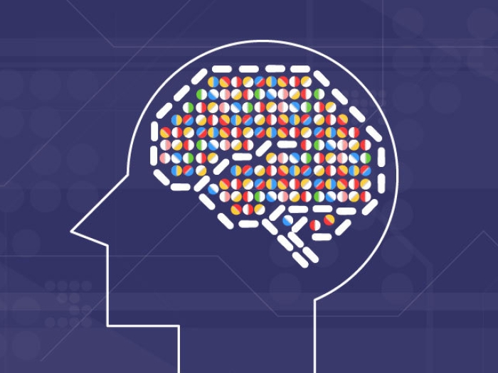 outline of head with pills in brain