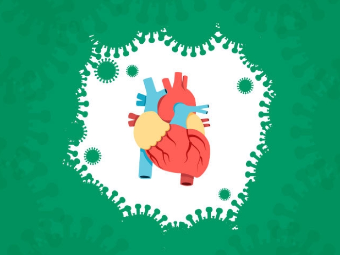 heart surrounded by green coronavirus cells