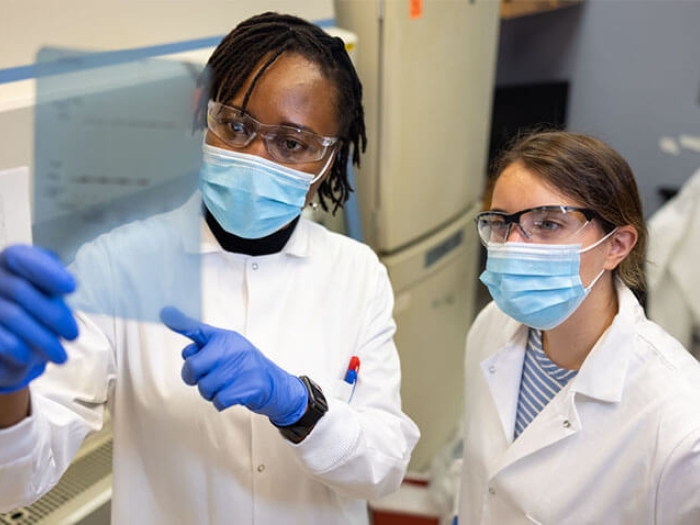 Lab members in lab looking at transparency