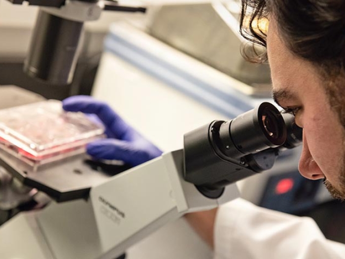 man looking in microscope in lab