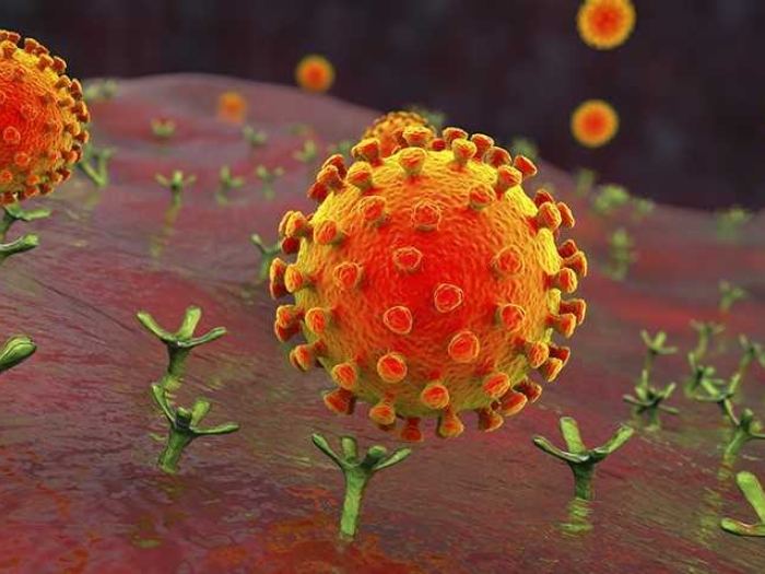 red orange cells floating