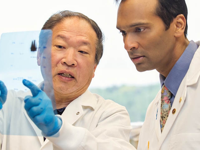 two doctors looking at science data