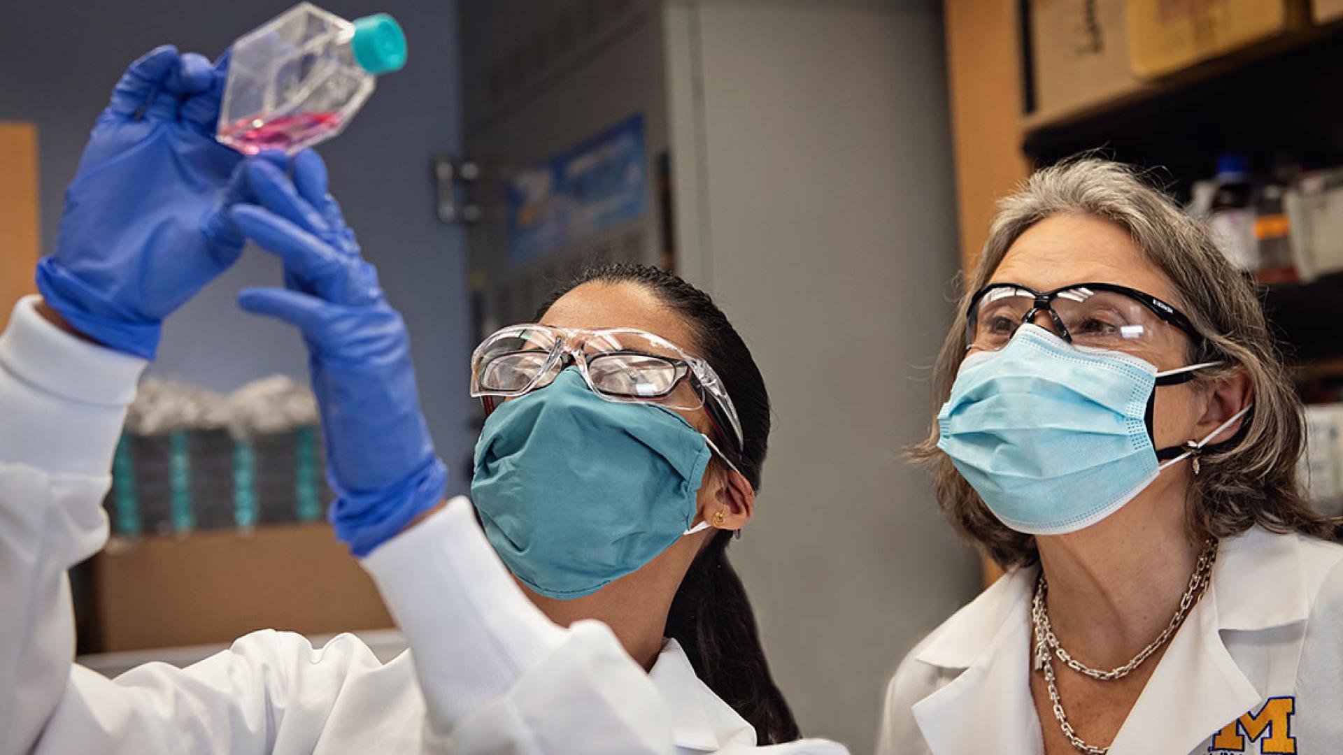 Two doctors wearing masks examining pink specimen