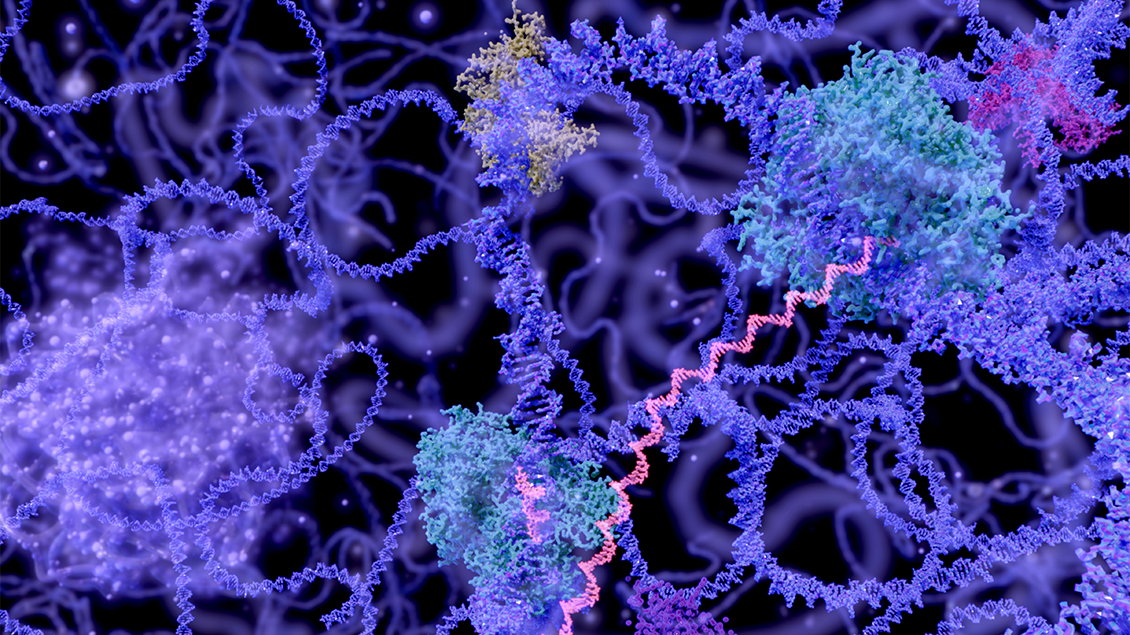 DNA transcription illustration